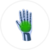 Wrist Gloves